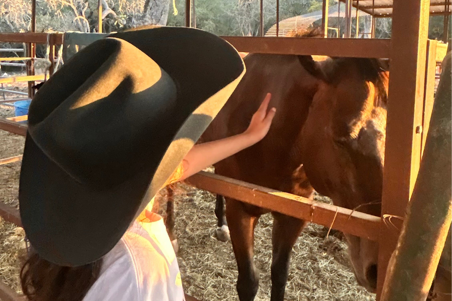 Penelope felt hat is 7 x quality in a grey blue color named Steel. Curly haired girl named Penny is petting a brown horse and wearing the Penelope hat.