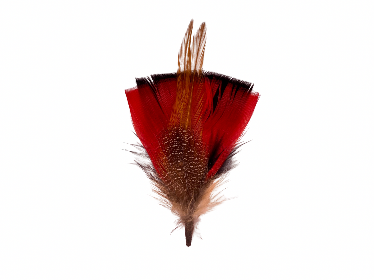 Whispering Ridge Feather