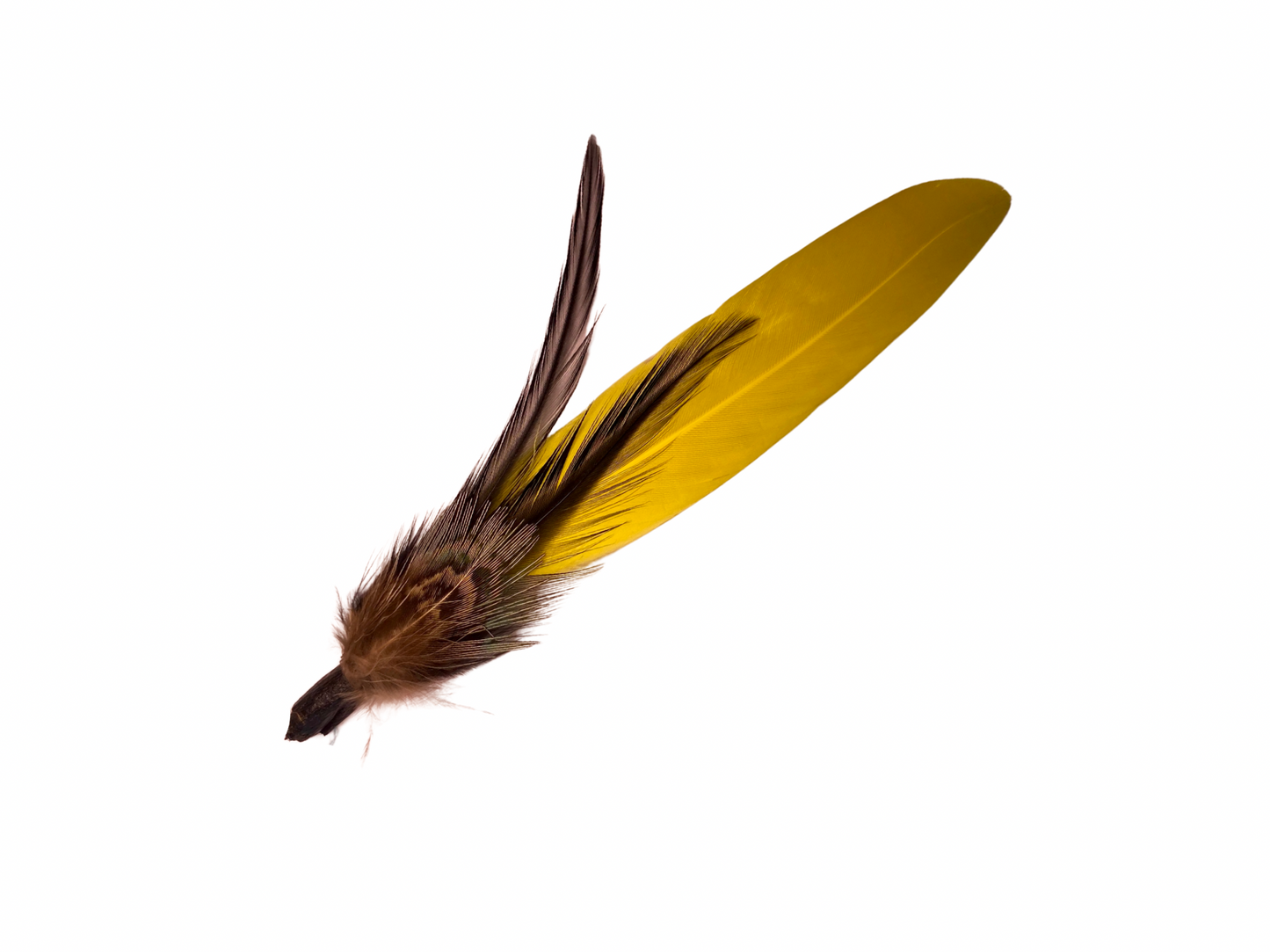Plume & Prairie