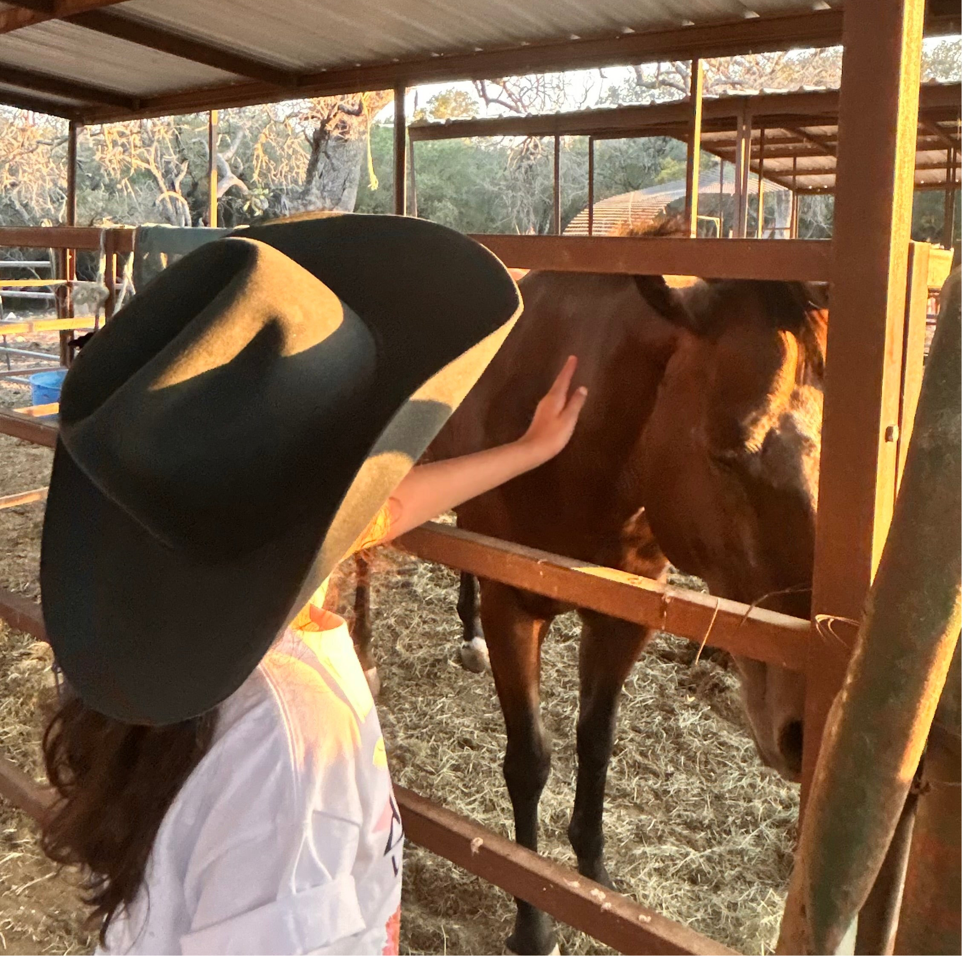 Penelope felt hat is 7 x quality in a grey/ blue color named Steel. Curly haired girl named Penny is petting a brown horse and wearing the Penelope hat.
