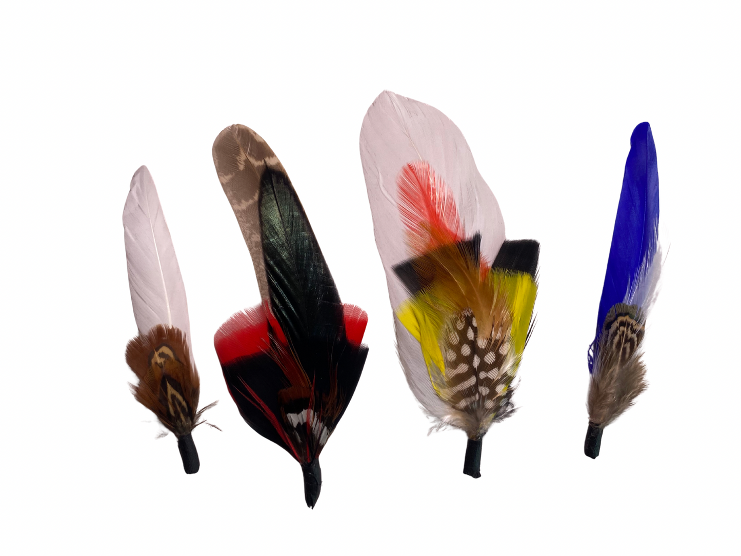 Dust & Echo Feather