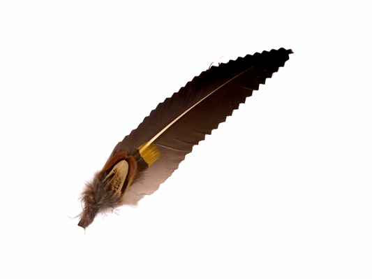 Plume & Prairie
