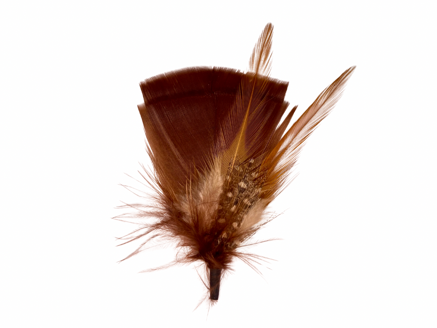 Whispering Ridge Feather