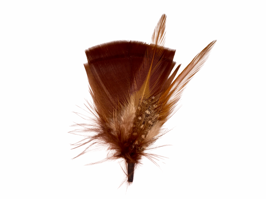 Whispering Ridge Feather