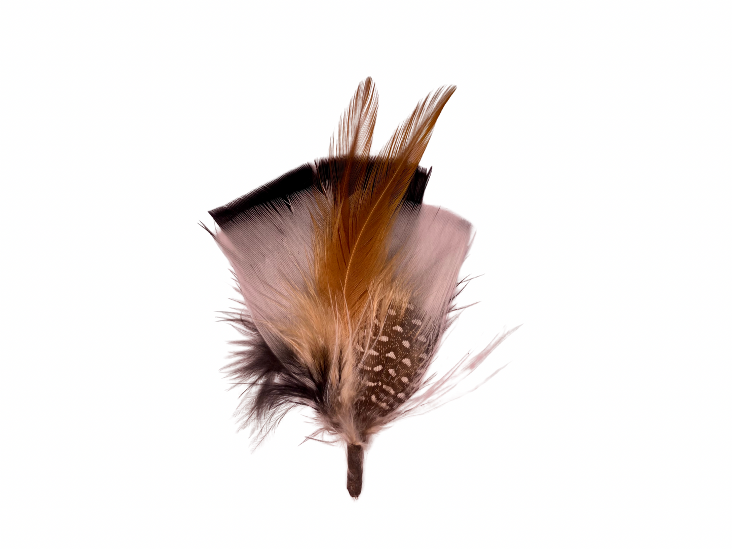 Whispering Ridge Feather