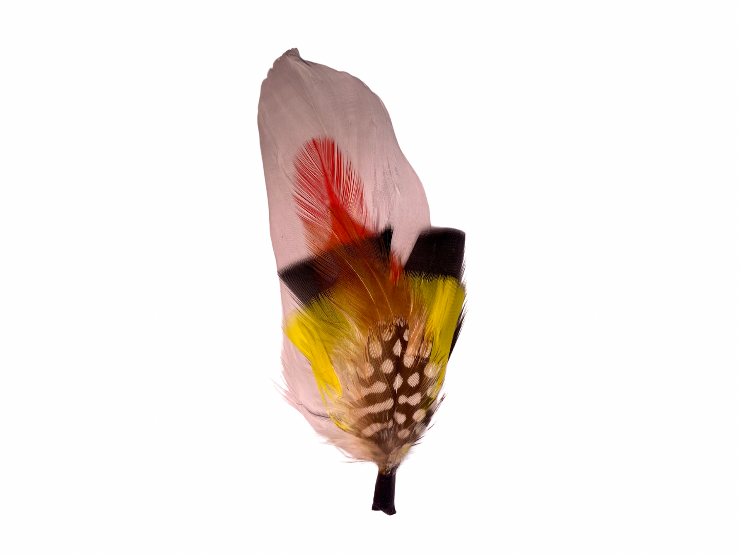 Dust & Echo Feather