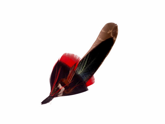 Dust & Echo Feather