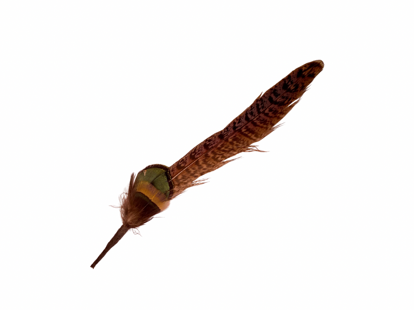 Plume & Prairie