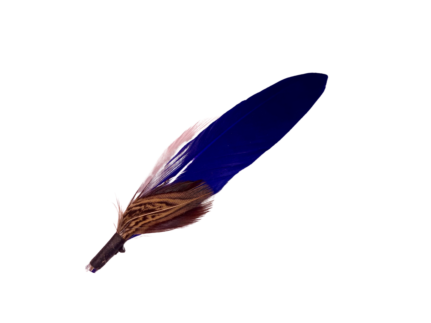 Dust & Echo Feather