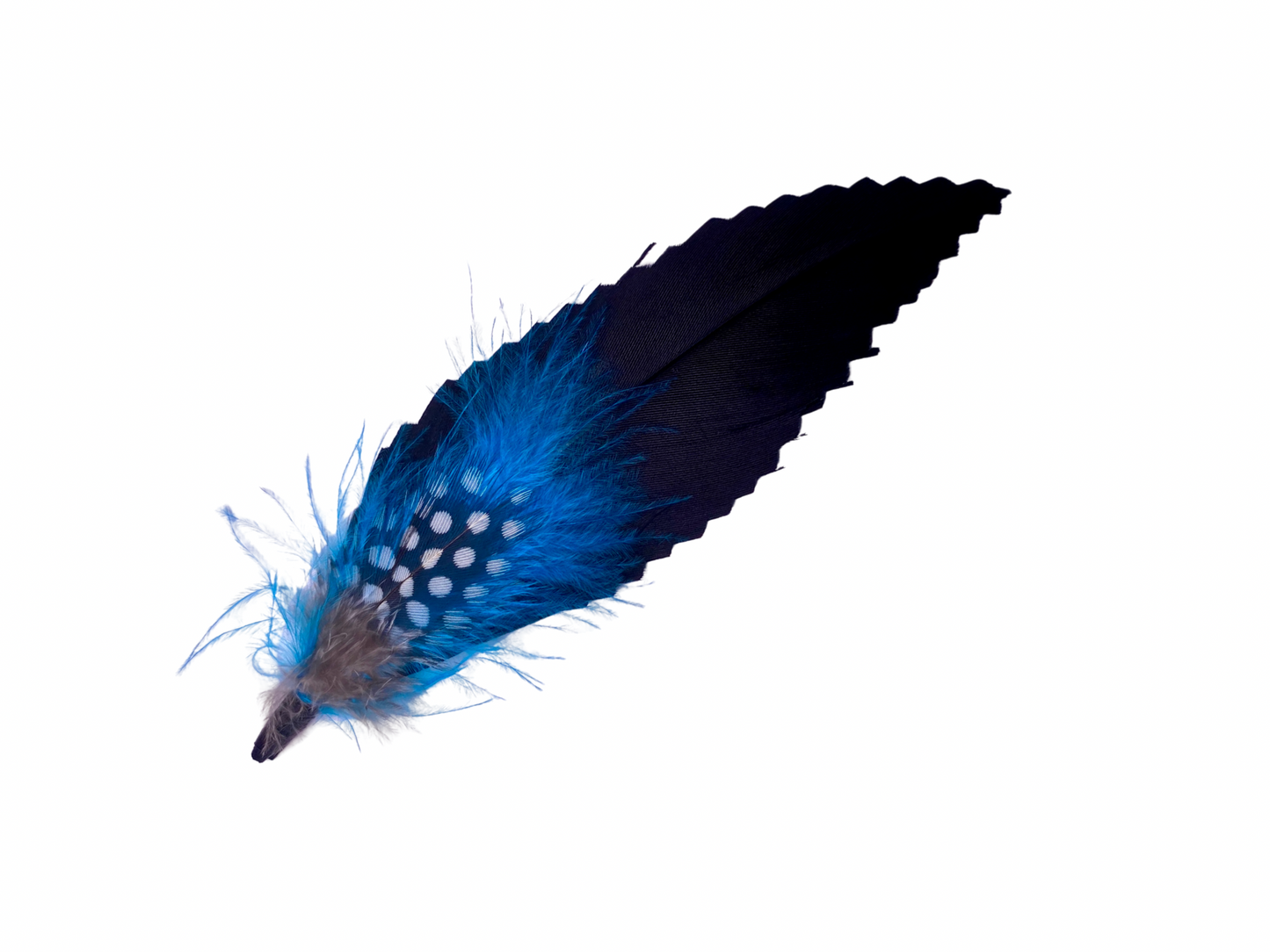 Plume & Prairie